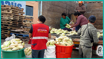 Donación de choclos 